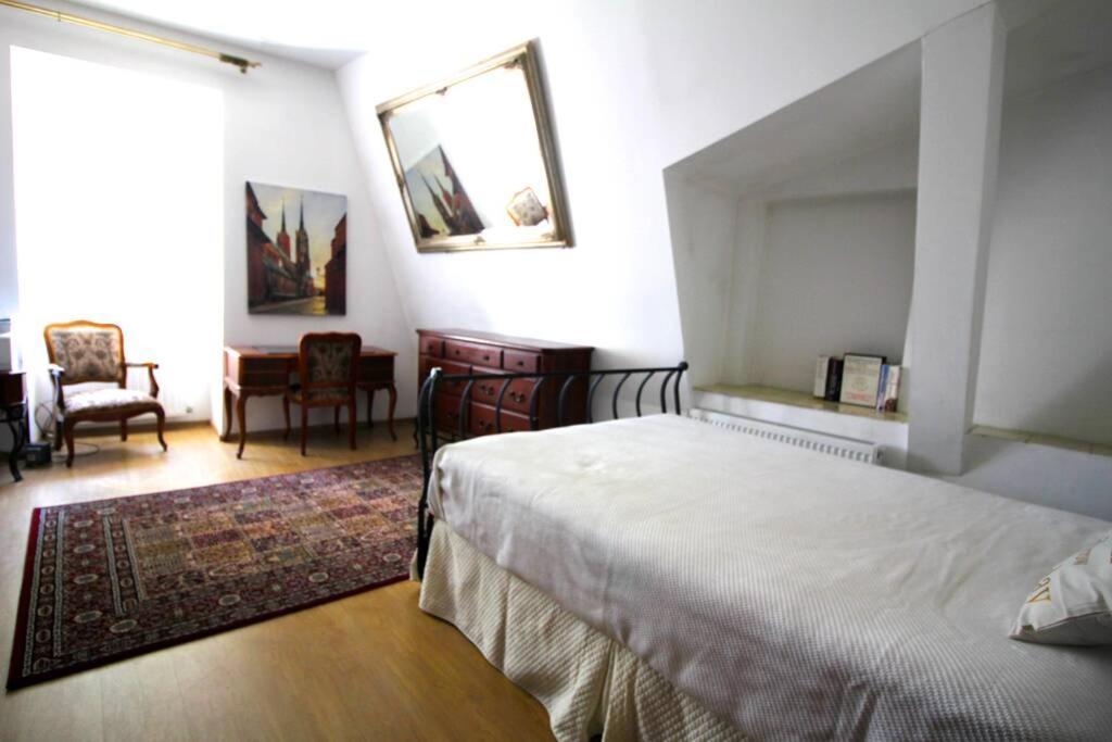 Orchidea Lublin